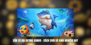 Tổng quan về săn cá đại dương